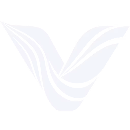 vybose dark mode logo